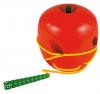 Lacing apple and worm