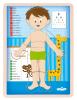 Human body puzzle - Boy CZ
