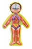 Human body puzzle