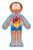 Human body puzzle - Boy CZ