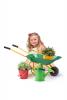 Garden wheelbarrow - green