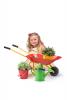 Garden wheelbarrow - red