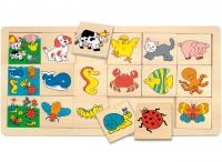 Match the picture - Harry