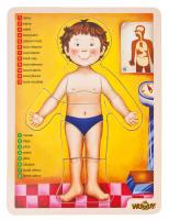 Human body puzzle