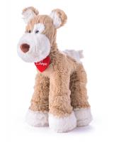 Kalamity terrier dog, small