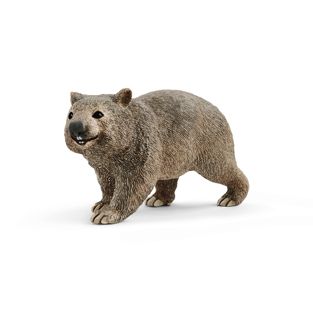 wombat, nové