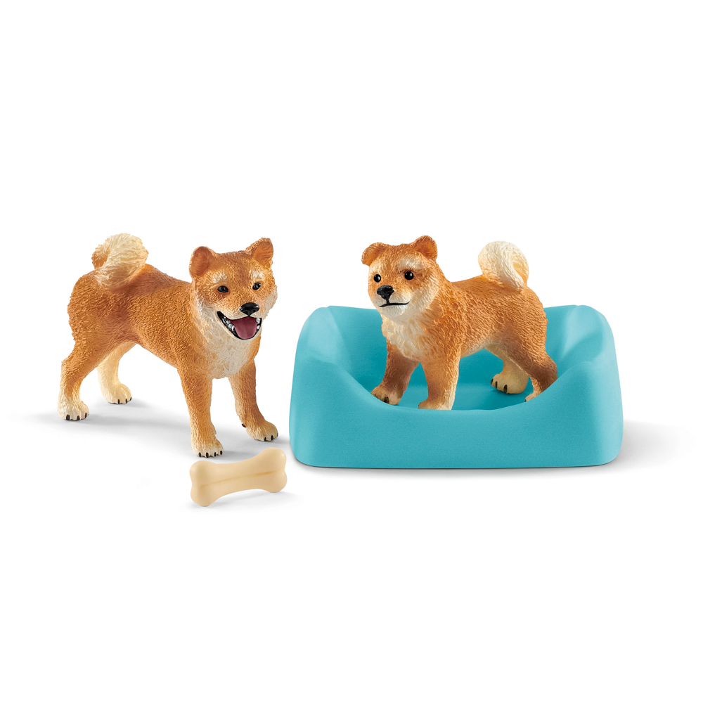 Fenka a štěně Shiba Inu, nové